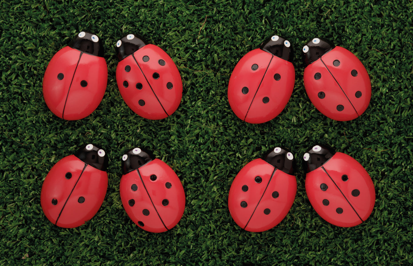 Ladybug Counting Stones