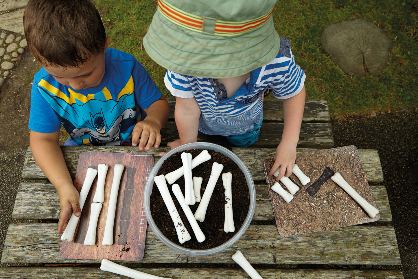 Dinosaur Bones Match and Measure Set