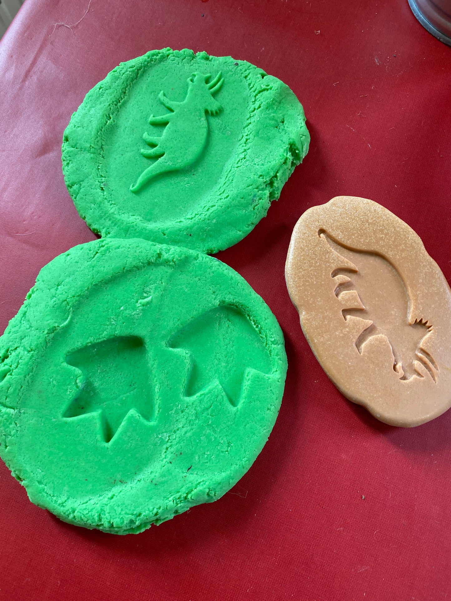 Let’s Investigate – Dinosaur Footprints