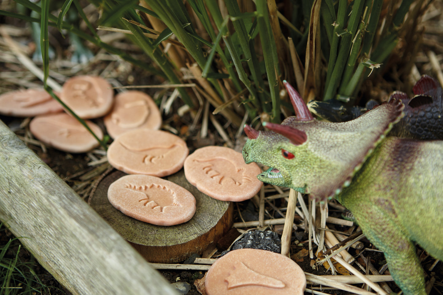 Let’s Investigate – Dinosaur Footprints
