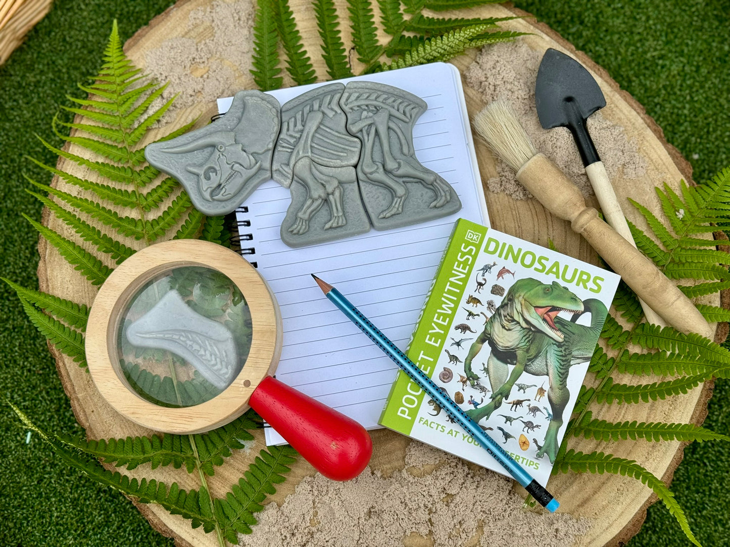 Dig and Discover – Triceratops & Spinosaurus