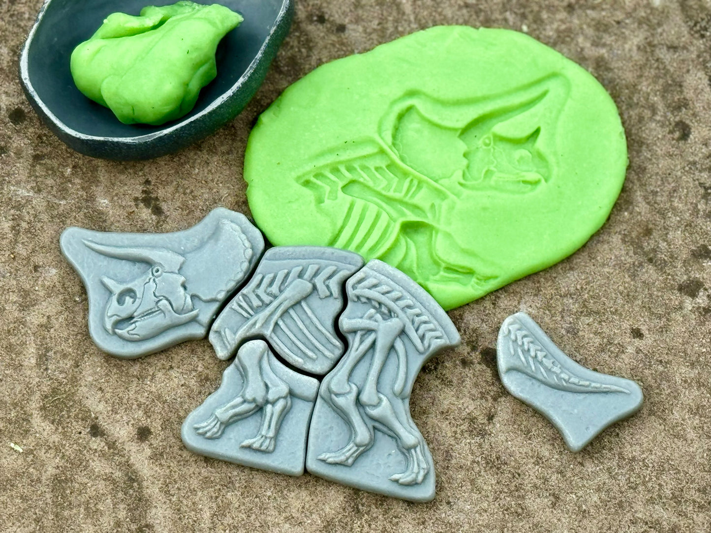 Dig and Discover – Triceratops & Spinosaurus