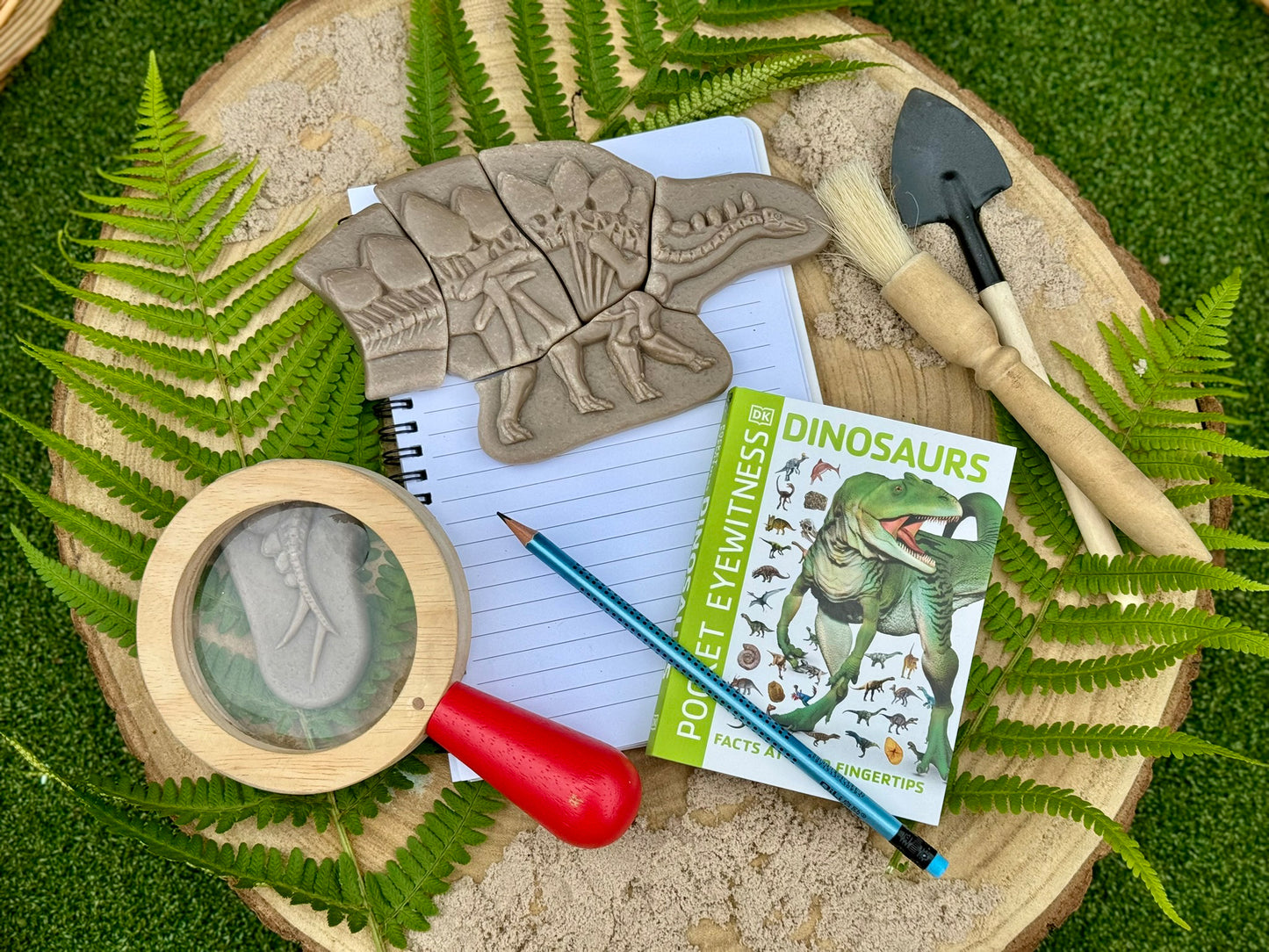 Dig and Discover – Pliosaur & Stegosaurus