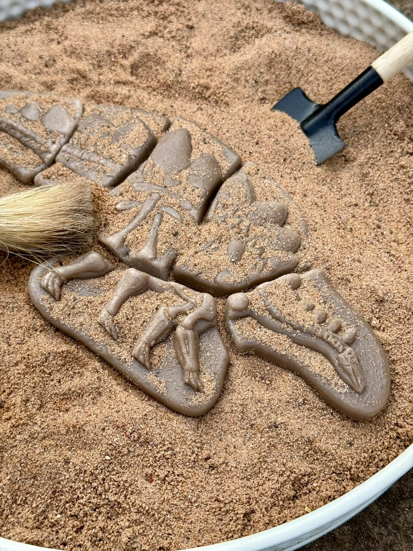 Dig and Discover – Pliosaur & Stegosaurus