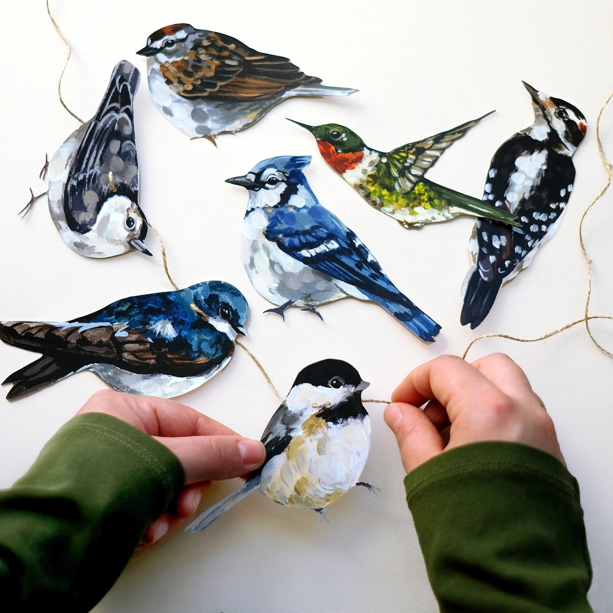 Canadian Birds Paper Garland | DIY Garland Kit