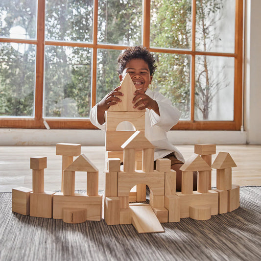 PlanToys 50 Unit Blocks