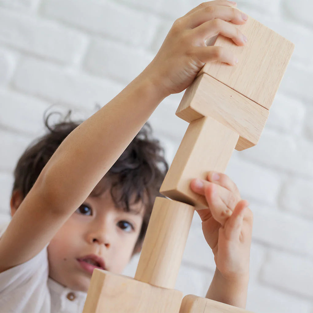 PlanToys 50 Unit Blocks