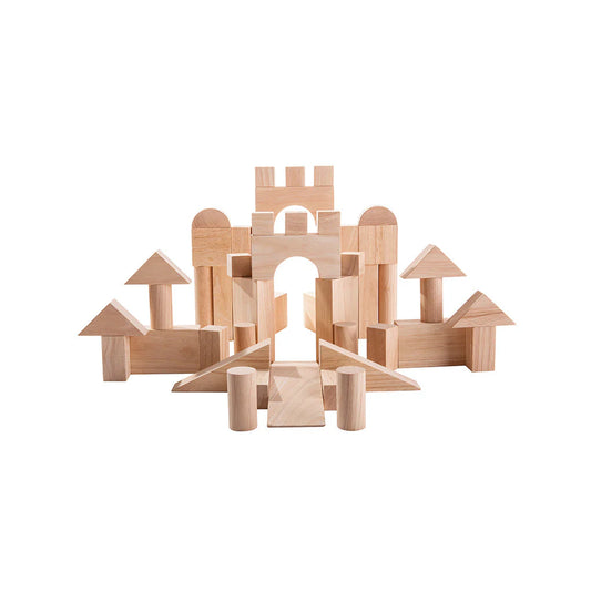 PlanToys 50 Unit Blocks