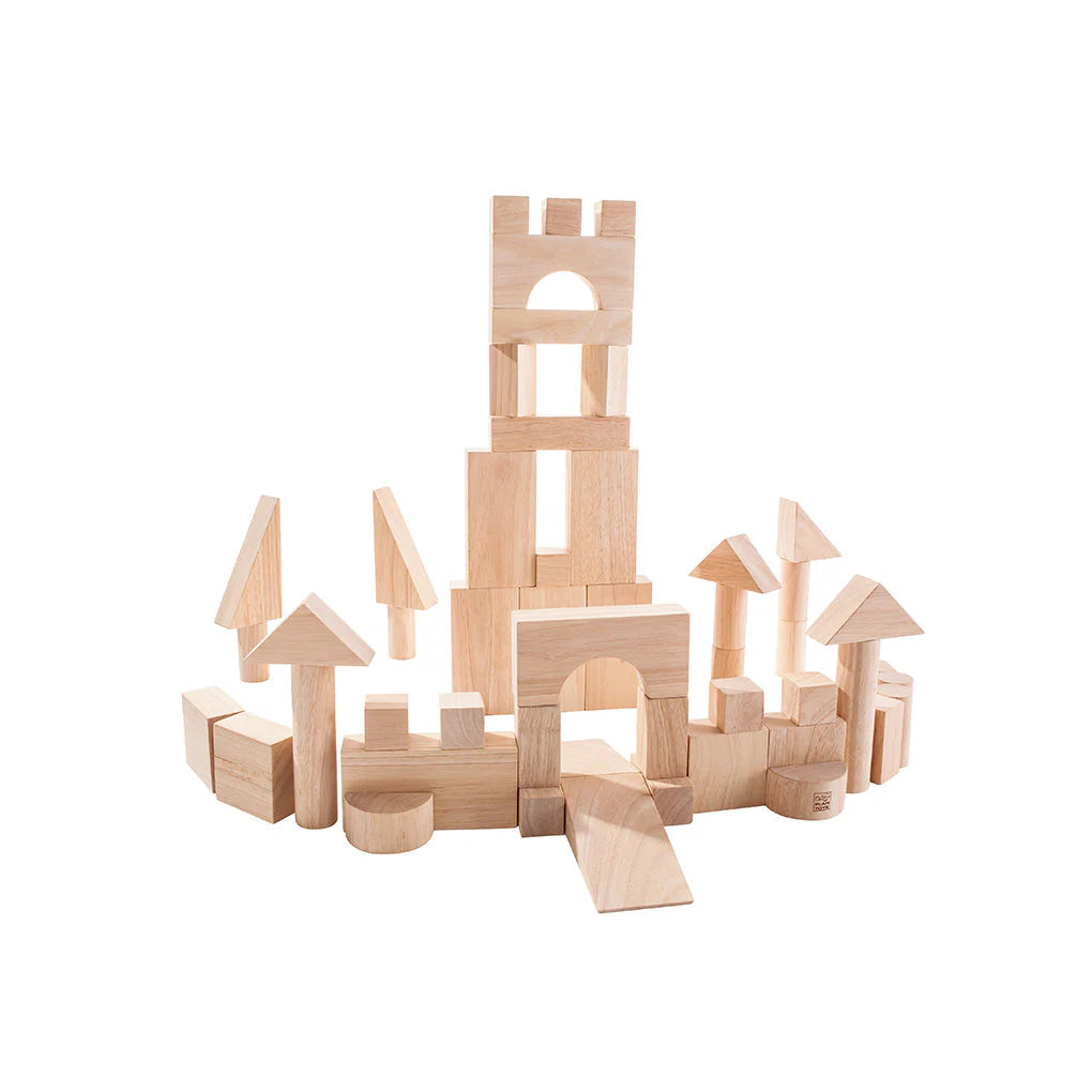 PlanToys 50 Unit Blocks