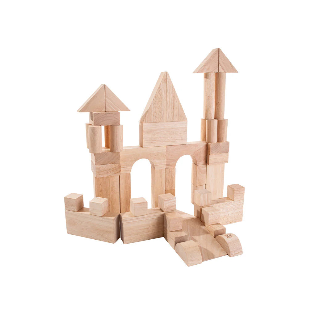 PlanToys 50 Unit Blocks