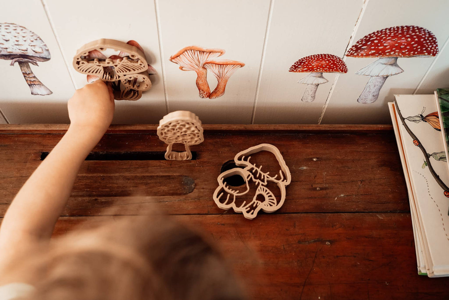 Field Mushroom Eco Cutter™