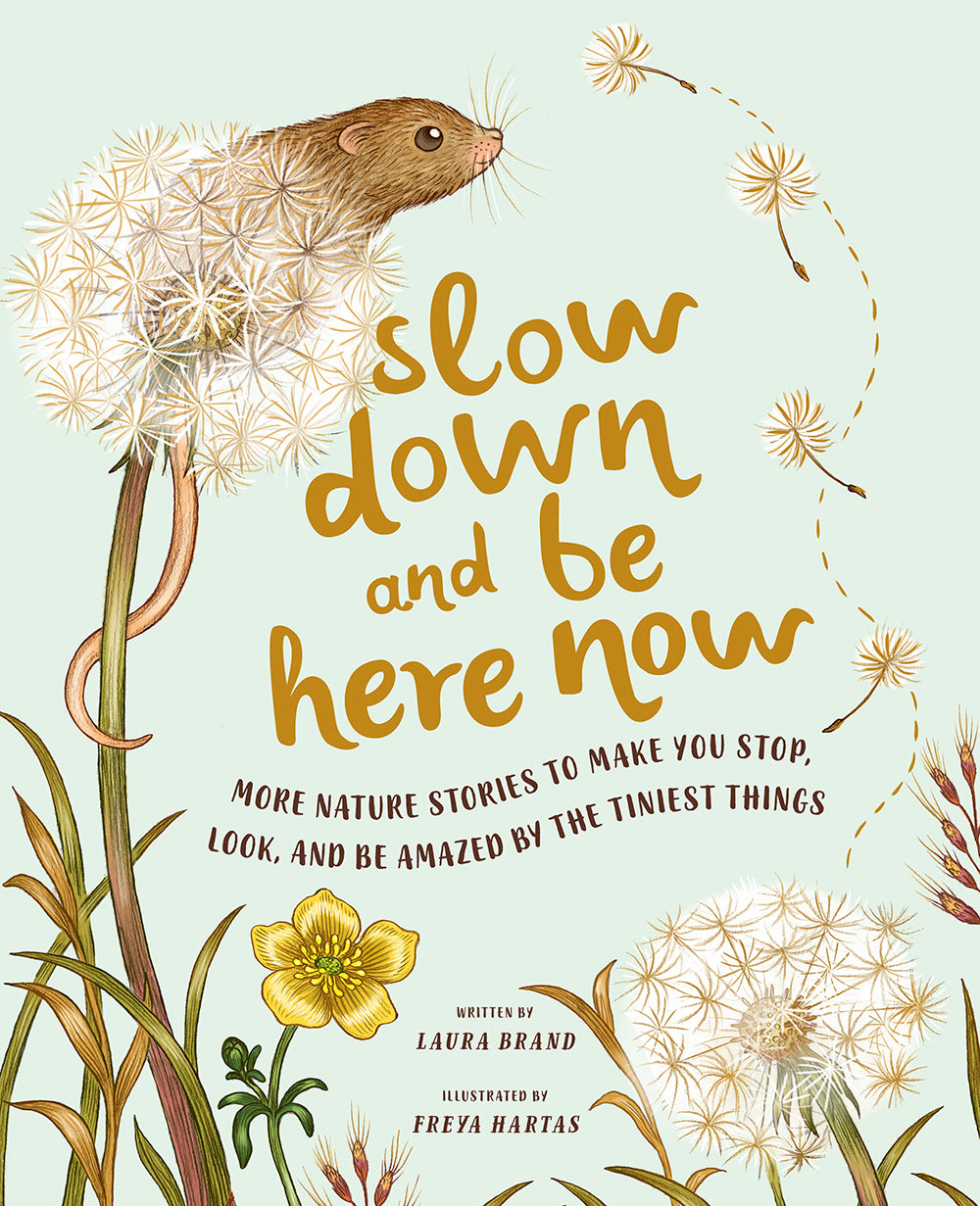 Slow Down