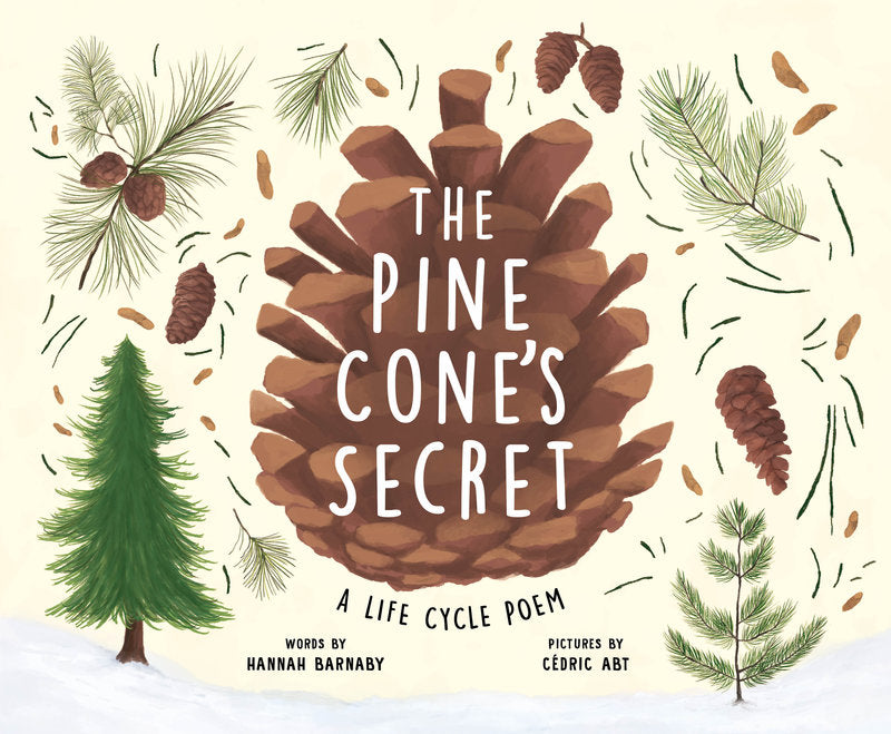 The Pine Cone's Secret: A Life Cycle Poem | Hardcover