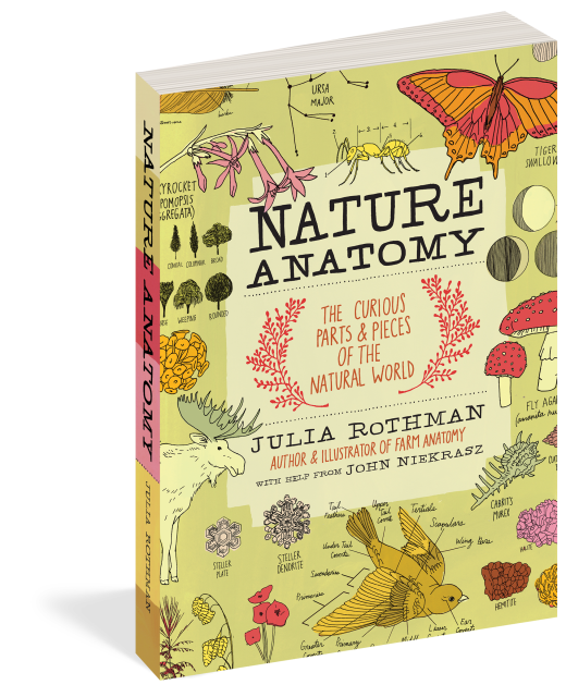 Nature Anatomy The Curious Parts and Pieces of the Natural World | Paperback