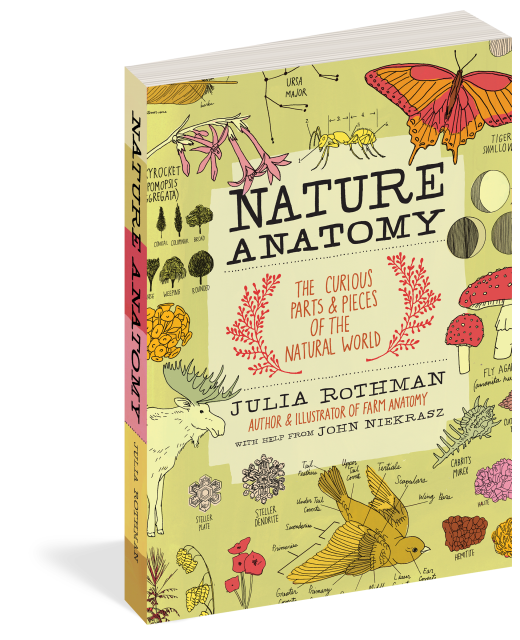 Nature Anatomy The Curious Parts and Pieces of the Natural World  |  Paperback