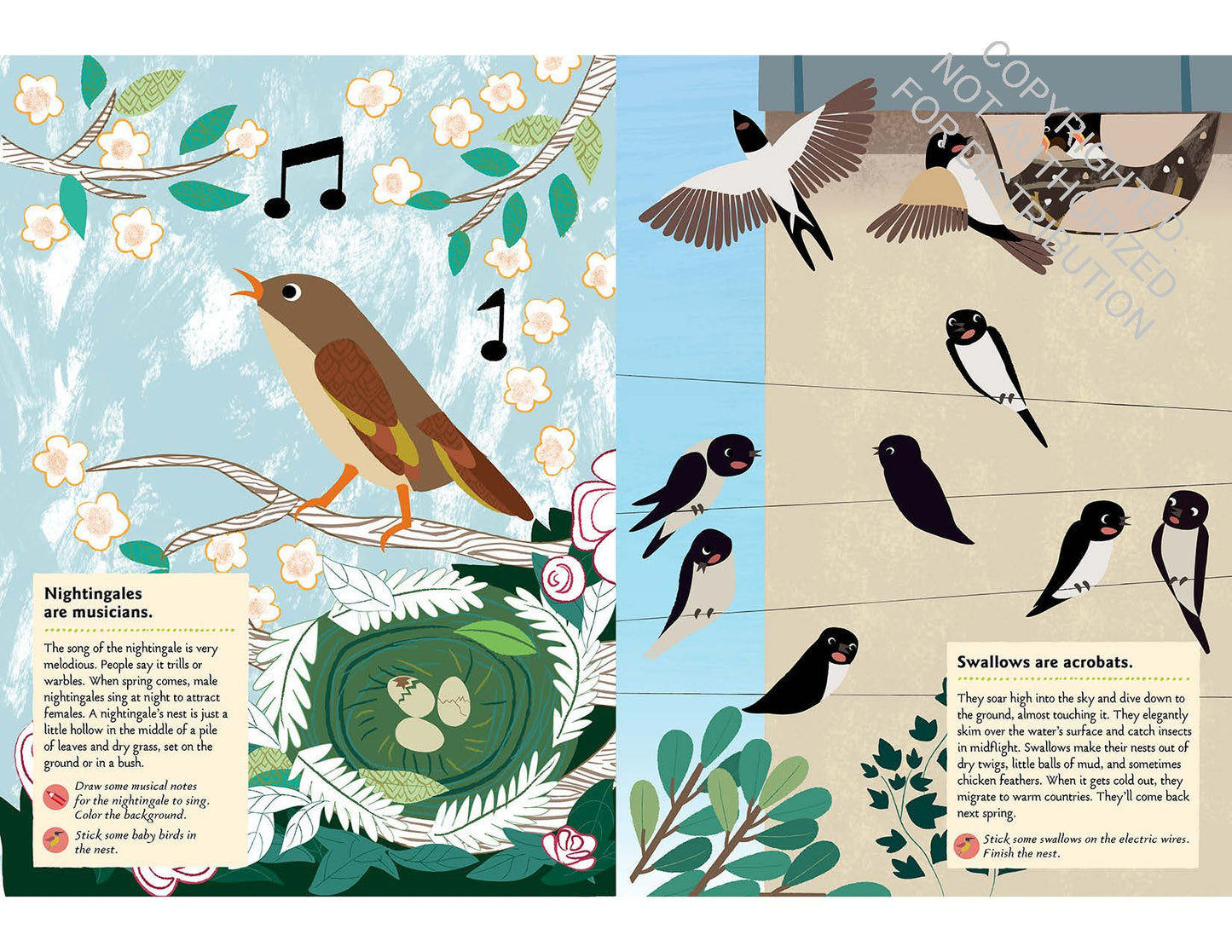 Birds of the World: My Nature Sticker Activity Book (Science Activity and Learning Book for Kids, Coloring, Stickers and Quiz) | Activity Book