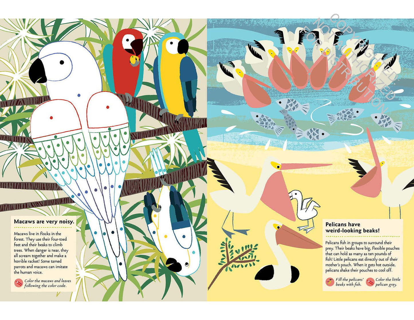 Birds of the World: My Nature Sticker Activity Book (Science Activity and Learning Book for Kids, Coloring, Stickers and Quiz) | Activity Book