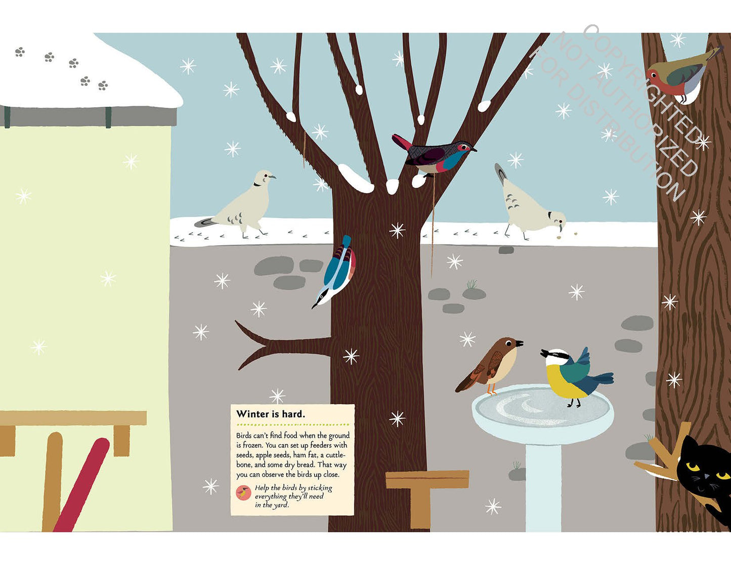 Birds of the World: My Nature Sticker Activity Book (Science Activity and Learning Book for Kids, Coloring, Stickers and Quiz) | Activity Book