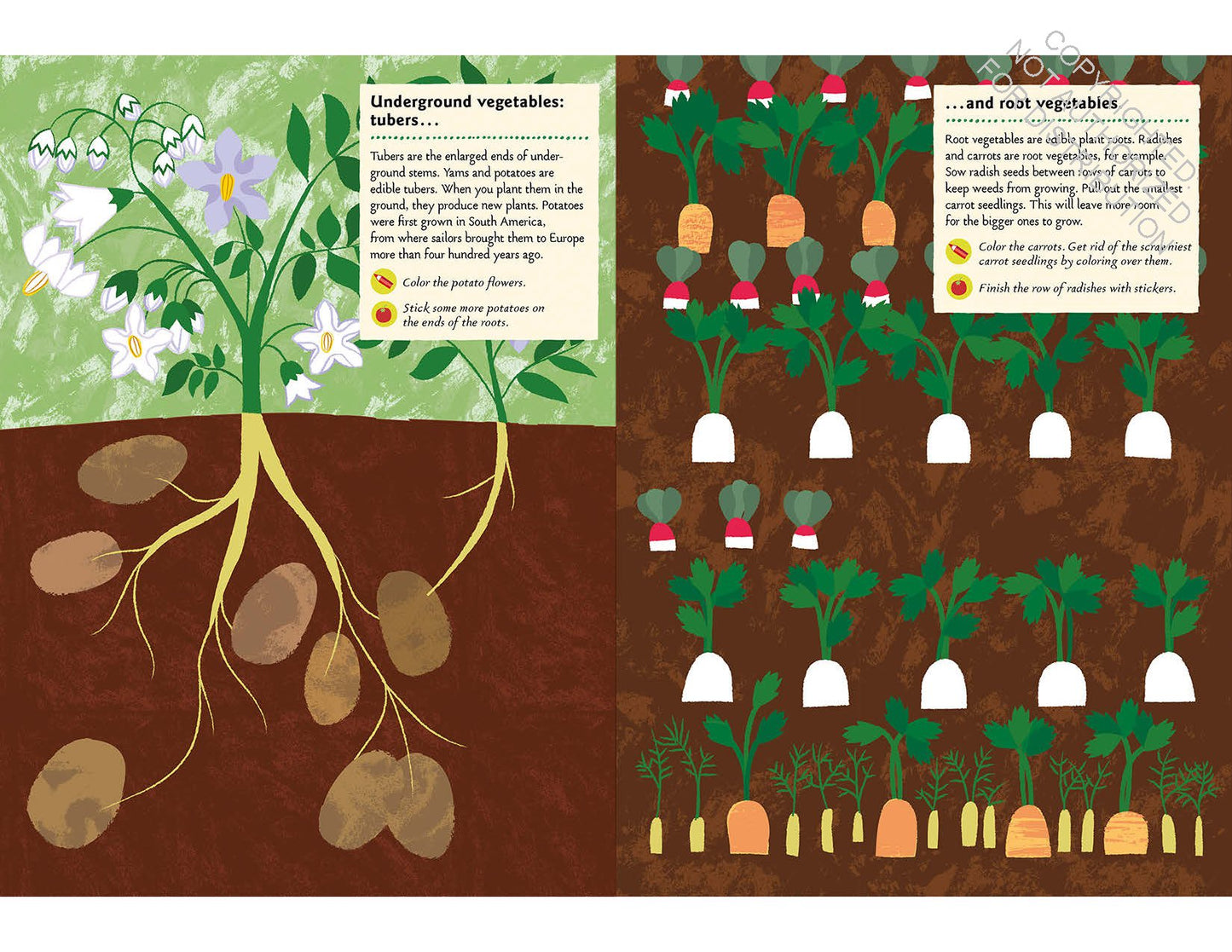 In the Vegetable Garden: My Nature Sticker Activity Book (102 stickers, 24 activities, and 1 quiz) | Activity Book