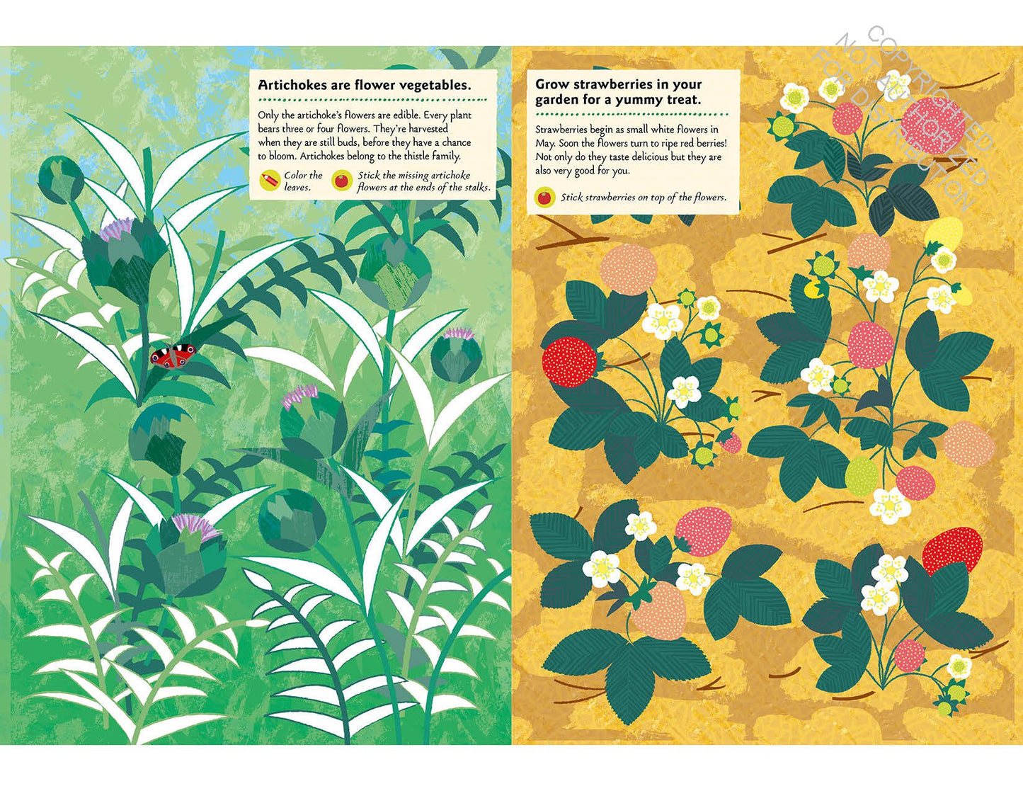 In the Vegetable Garden: My Nature Sticker Activity Book (102 stickers, 24 activities, and 1 quiz) | Activity Book