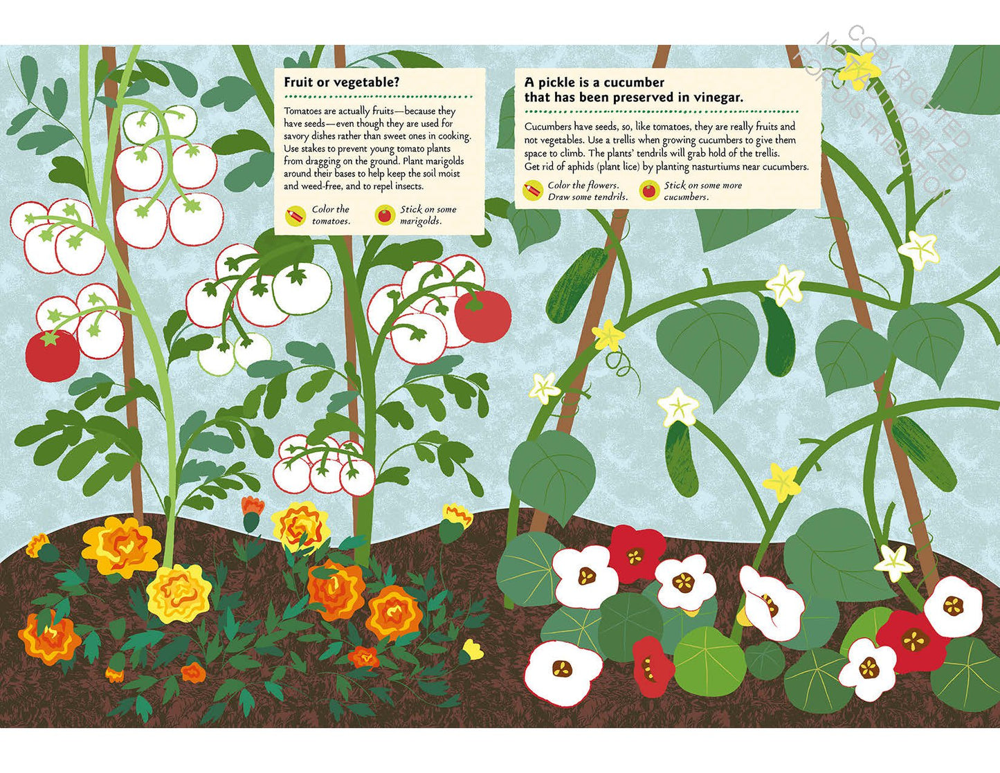In the Vegetable Garden: My Nature Sticker Activity Book (102 stickers, 24 activities, and 1 quiz) | Activity Book