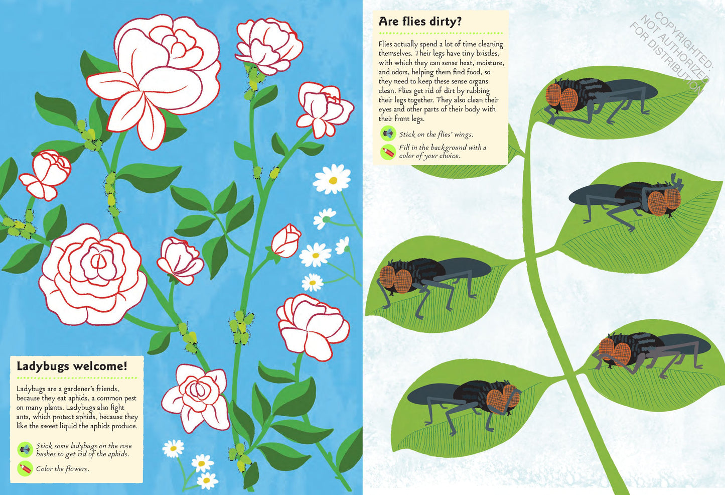Garden Insects and Bugs: My Nature Sticker Activity Book | Activity Book