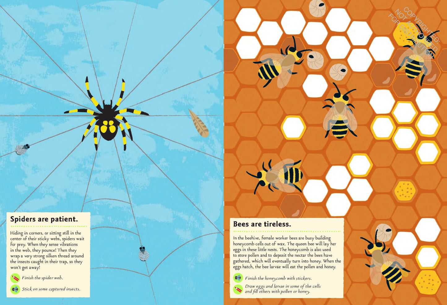 Garden Insects and Bugs: My Nature Sticker Activity Book | Activity Book