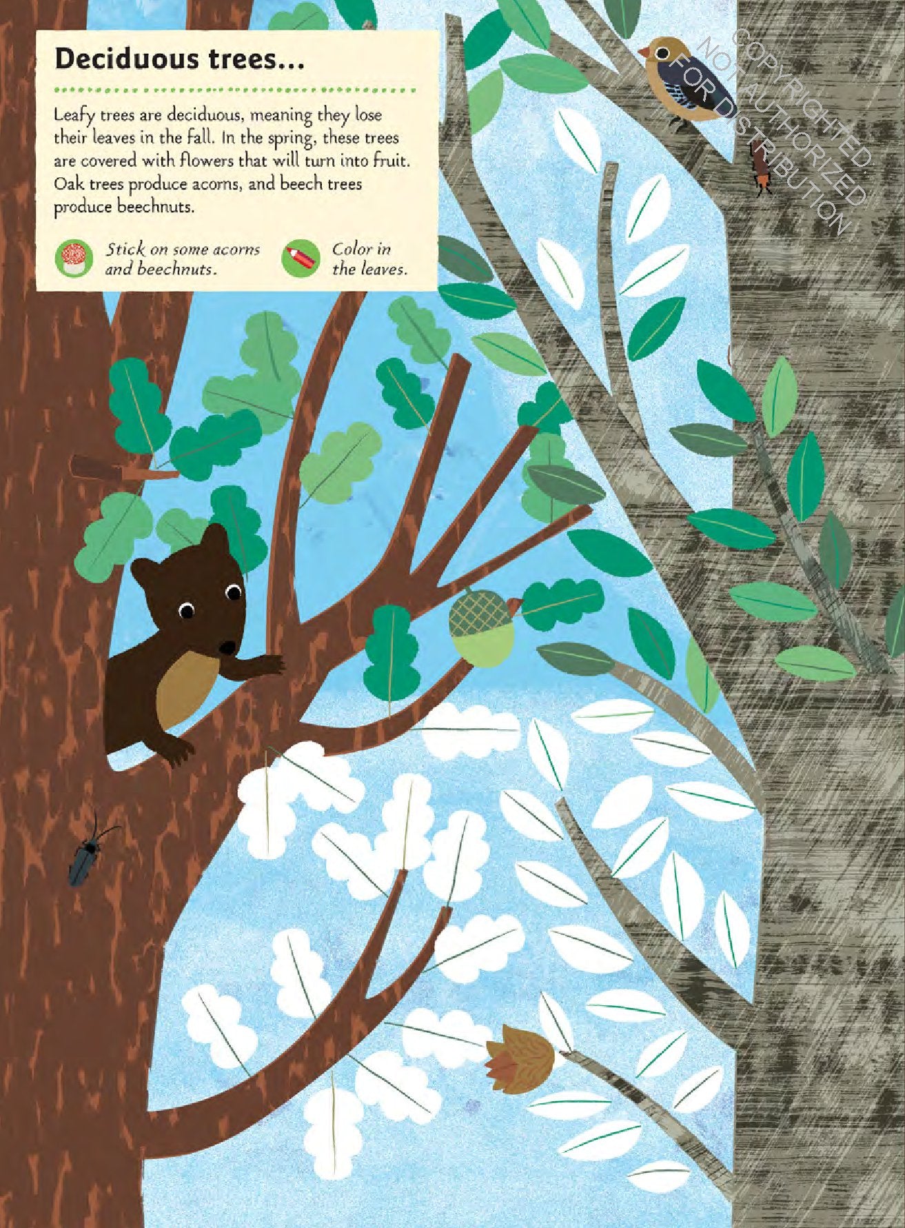 In the Forest: My Nature Sticker Activity Book (127 stickers, 29 activities, 1 quiz) | Activity Book