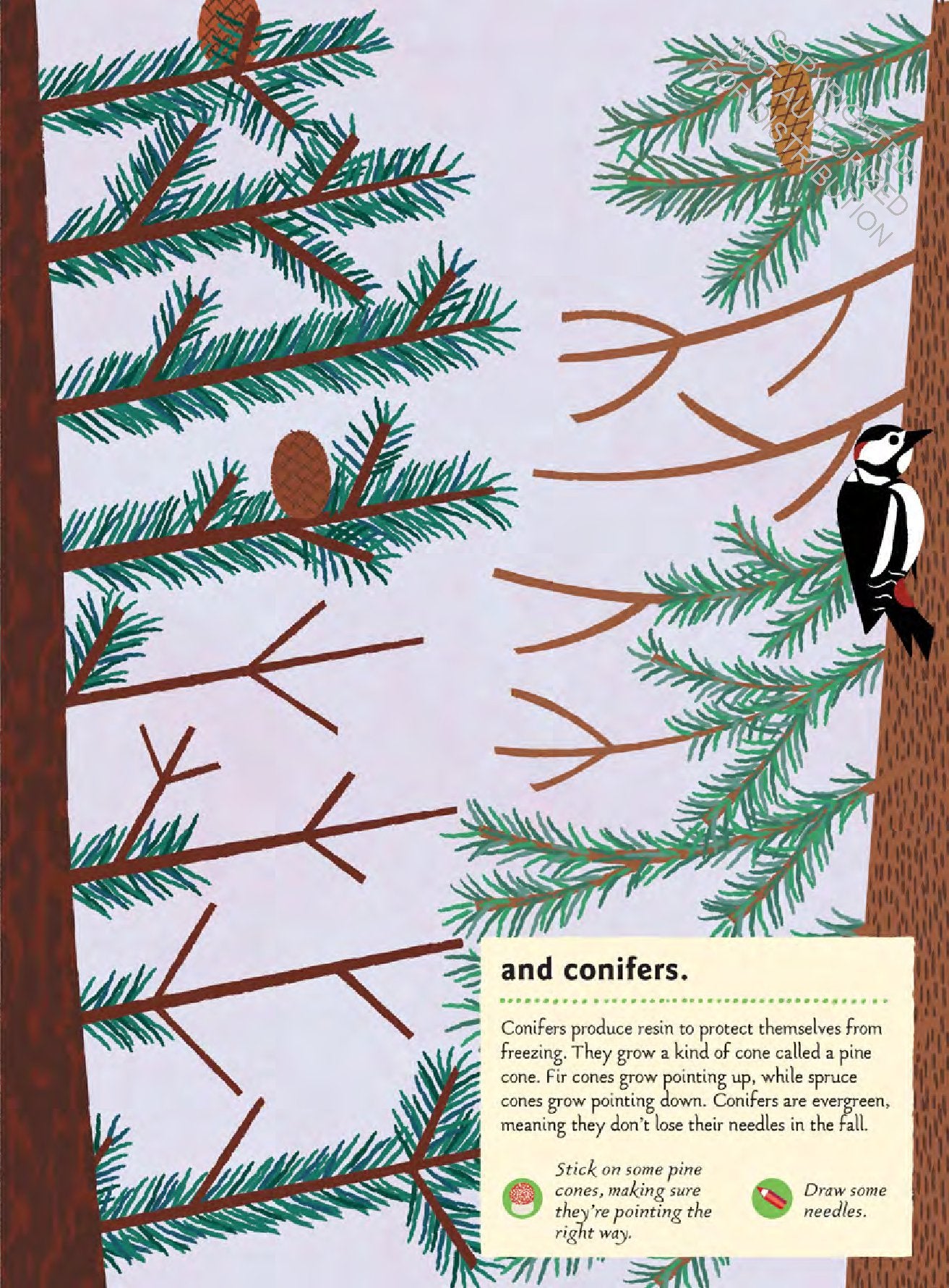 In the Forest: My Nature Sticker Activity Book (127 stickers, 29 activities, 1 quiz) | Activity Book