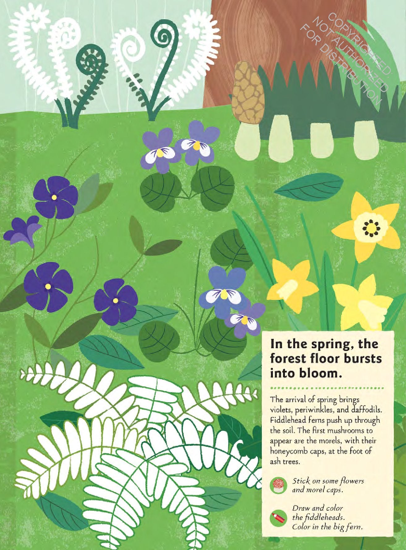 In the Forest: My Nature Sticker Activity Book (127 stickers, 29 activities, 1 quiz) | Activity Book