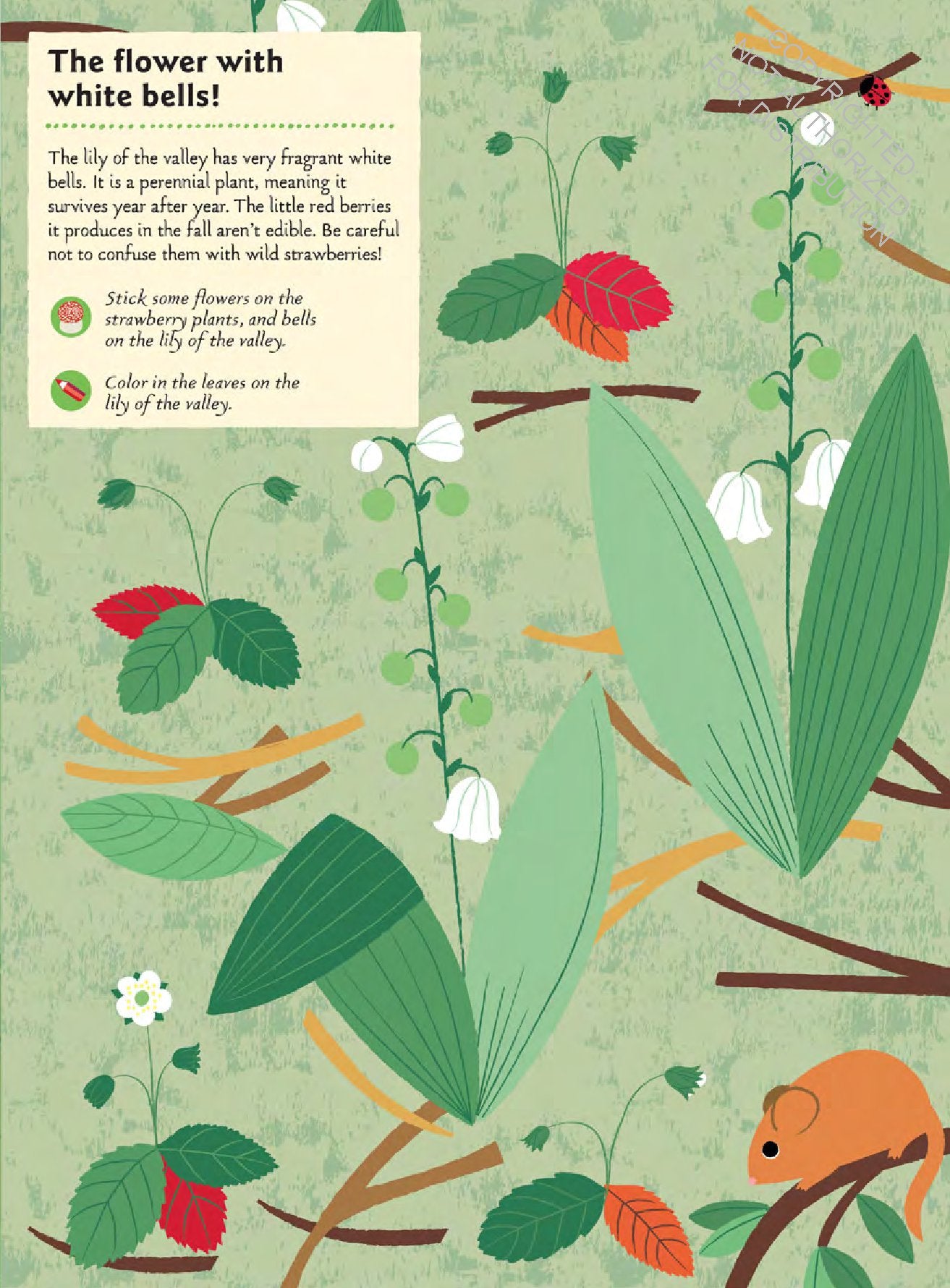 In the Forest: My Nature Sticker Activity Book (127 stickers, 29 activities, 1 quiz) | Activity Book