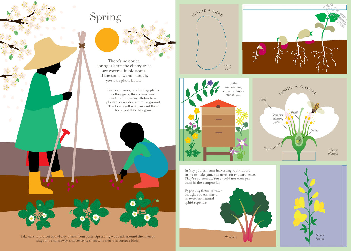 In the Garden | Oversized Hardcover