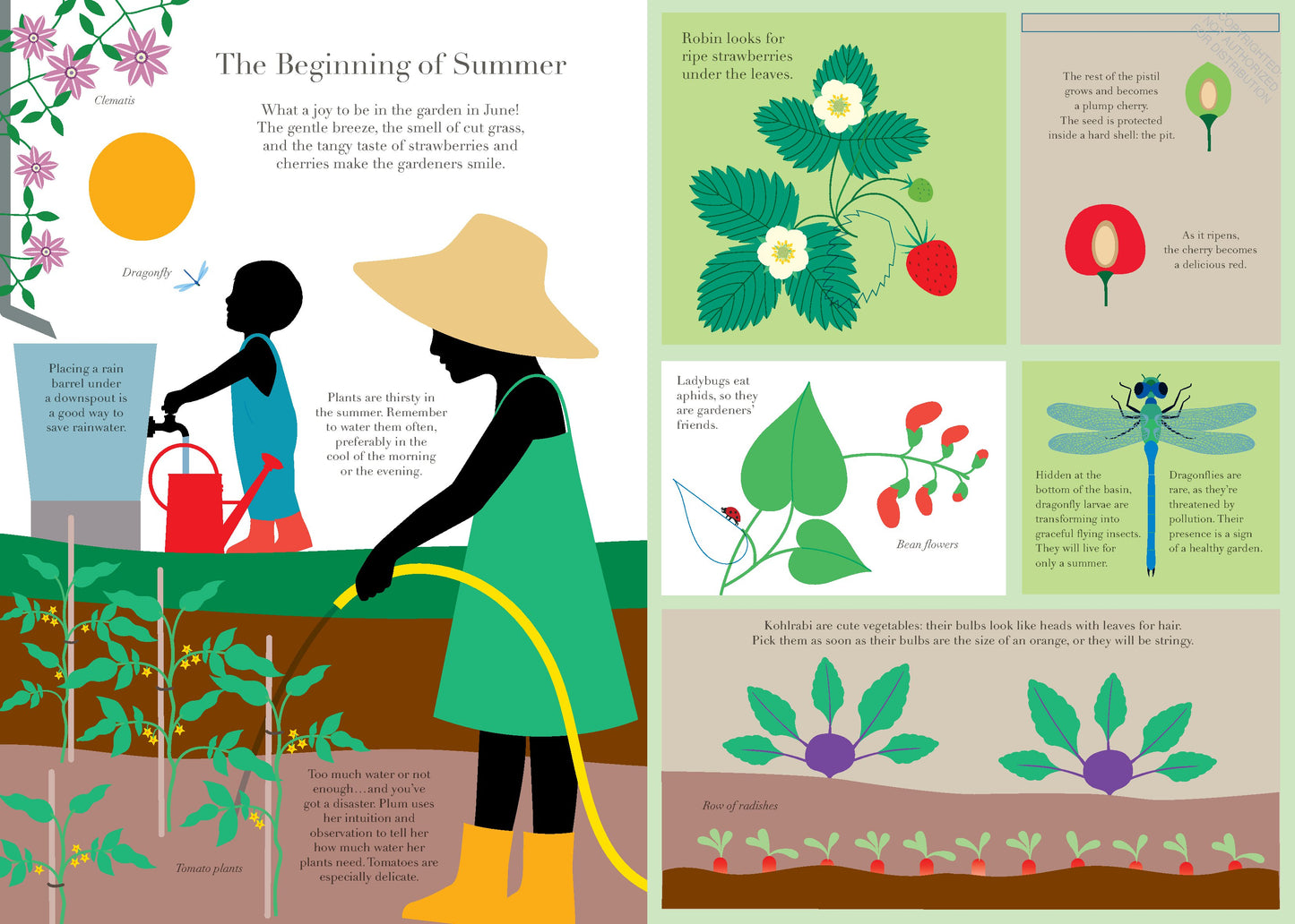In the Garden | Oversized Hardcover