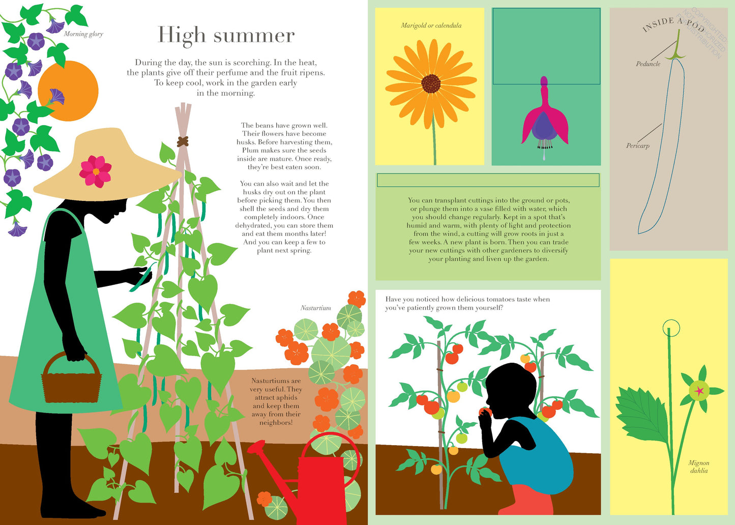In the Garden | Oversized Hardcover