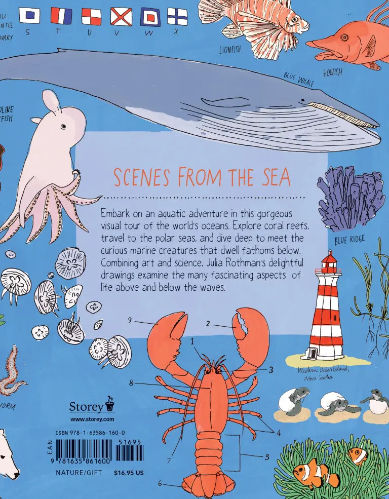 Ocean Anatomy The Curious Parts & Pieces of the World under the Sea | Paperback
