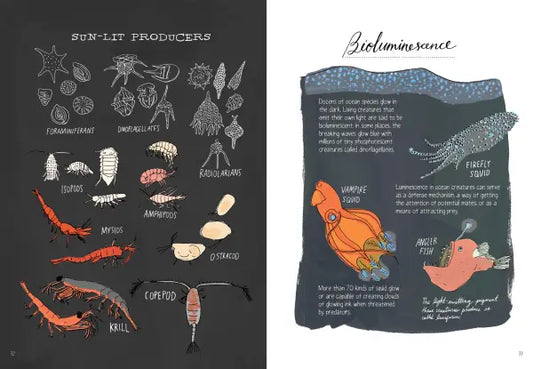Ocean Anatomy The Curious Parts & Pieces of the World under the Sea  |  Paperback