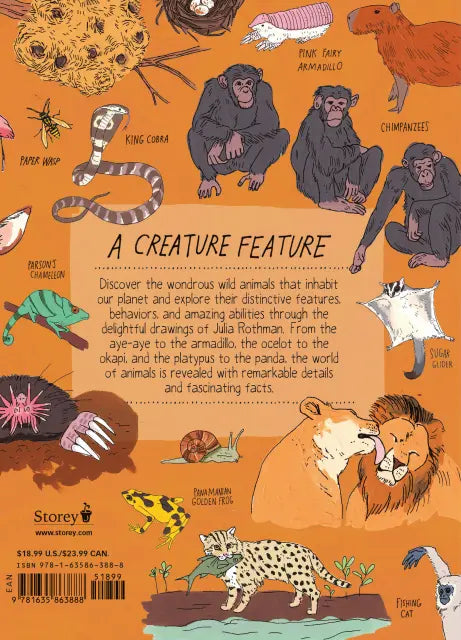 Wildlife Anatomy The Curious Lives & Features of Wild Animals around the World | Paperback