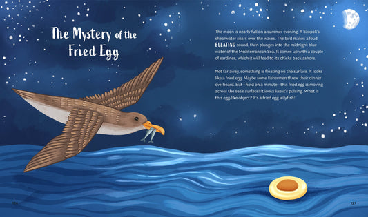 Secrets of the Ocean: 15 Bedtime Stories Inspired by Nature | Hardcover