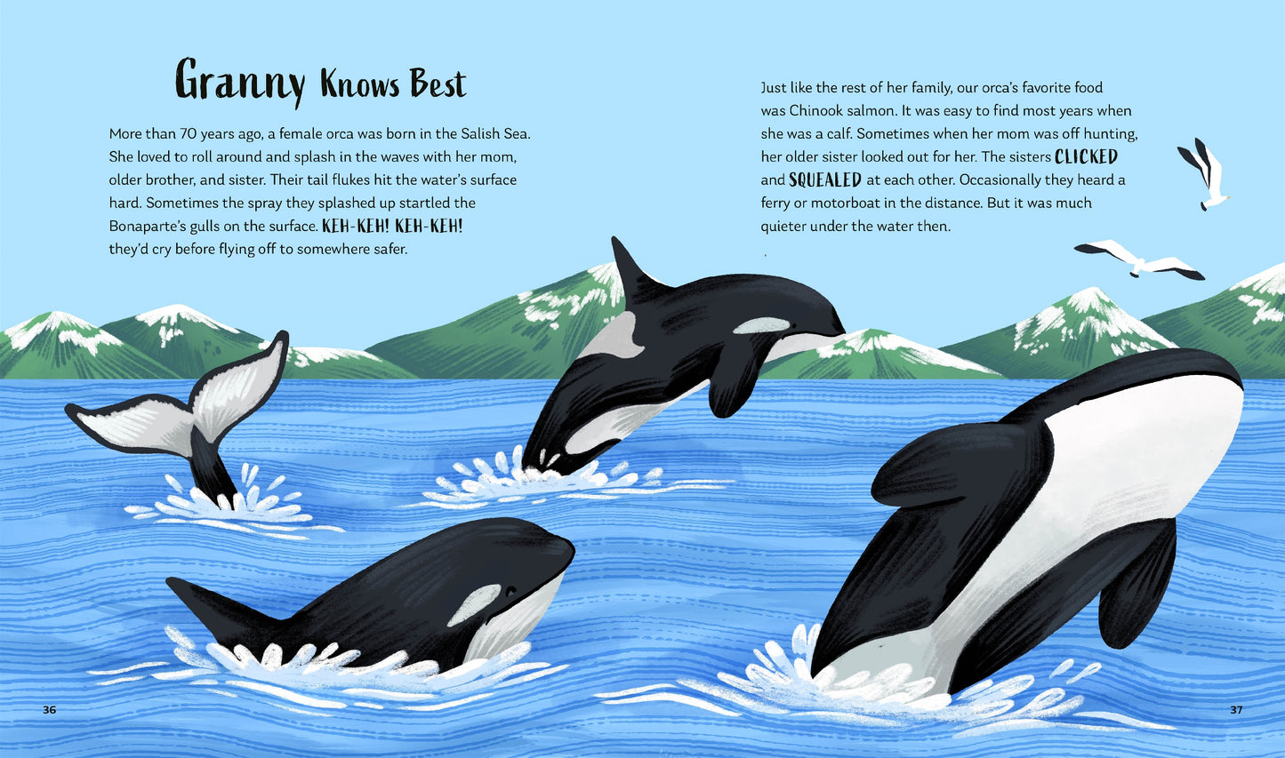 Secrets of the Ocean: 15 Bedtime Stories Inspired by Nature | Hardcover