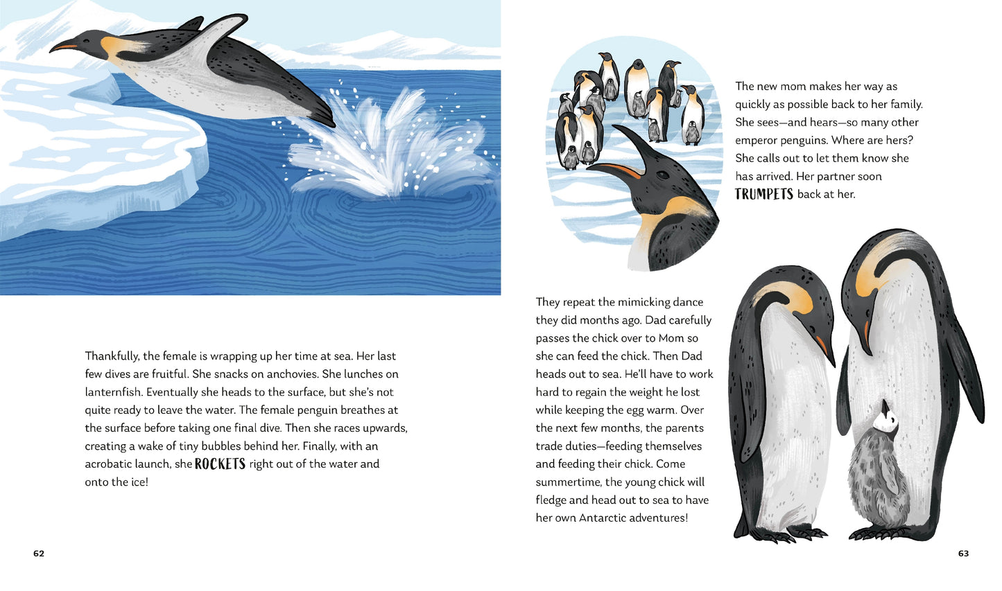 Secrets of the Ocean: 15 Bedtime Stories Inspired by Nature | Hardcover