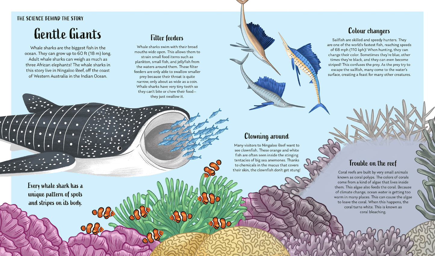 Secrets of the Ocean: 15 Bedtime Stories Inspired by Nature | Hardcover