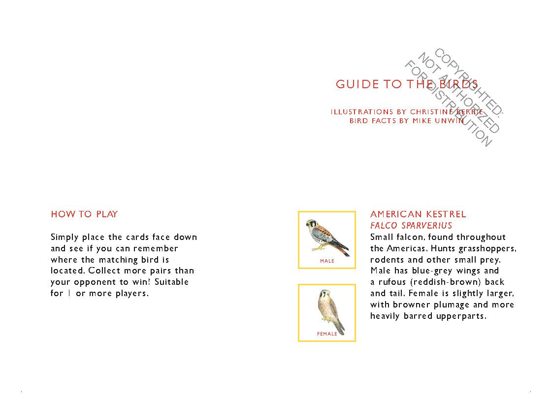 Match a Pair of Birds Memory Game | Game