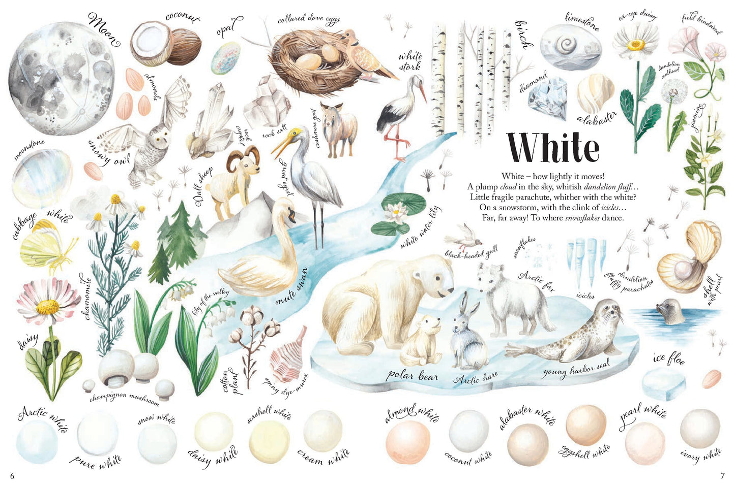 Colors in Nature | Hardcover