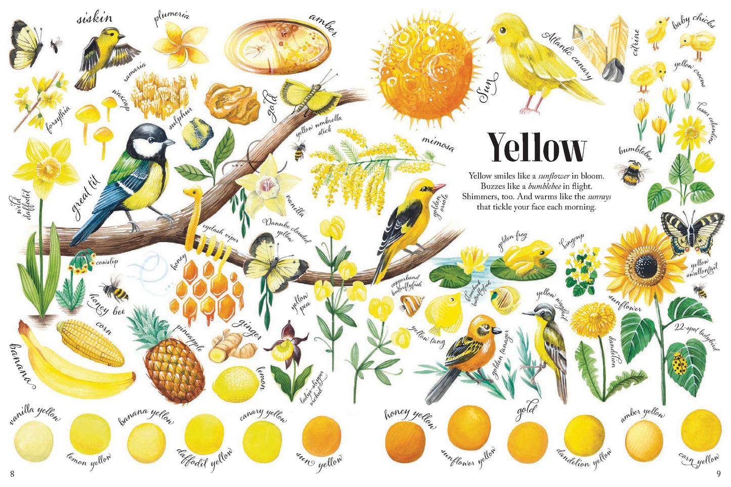 Colors in Nature | Hardcover
