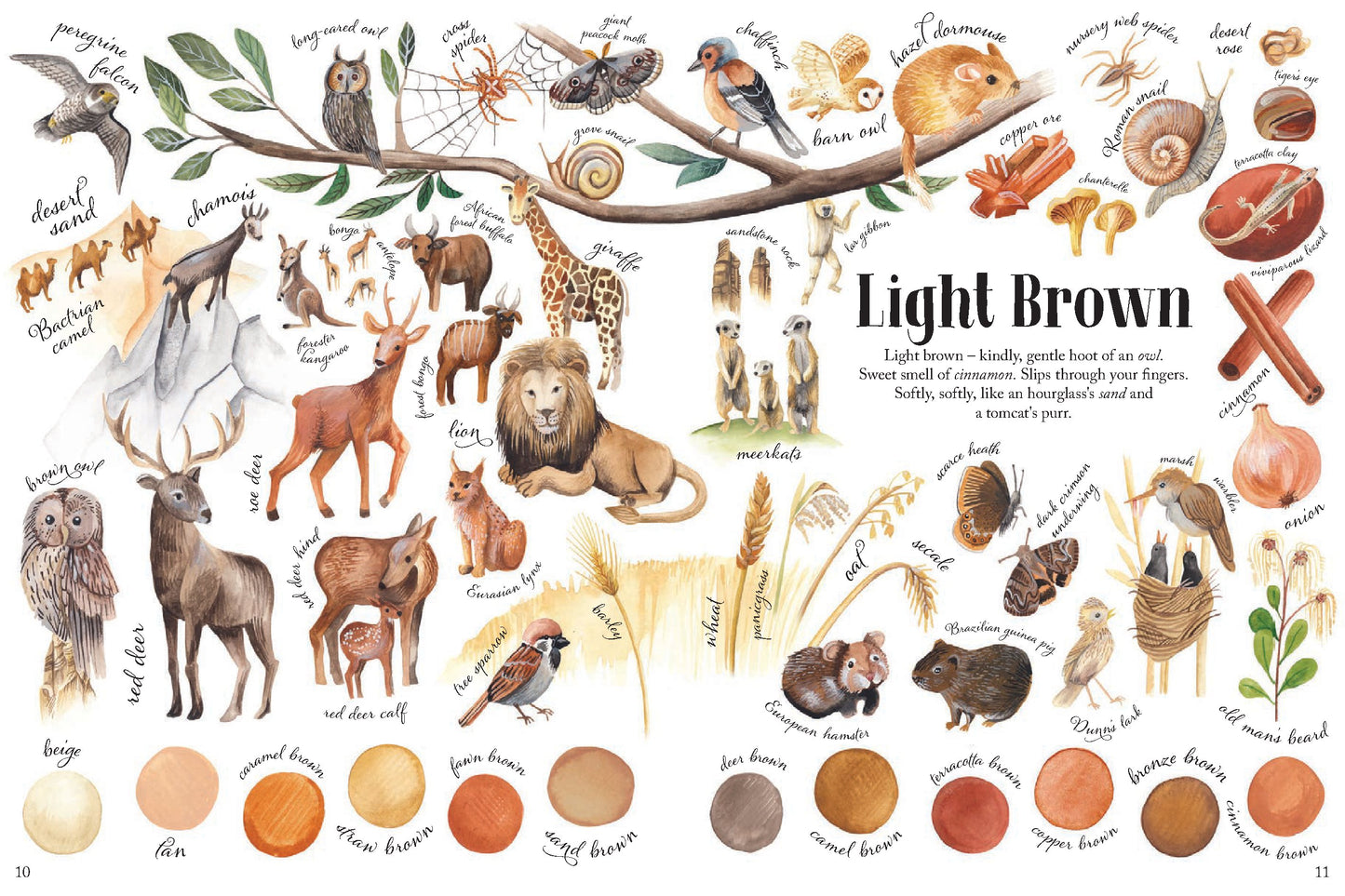 Colors in Nature | Hardcover