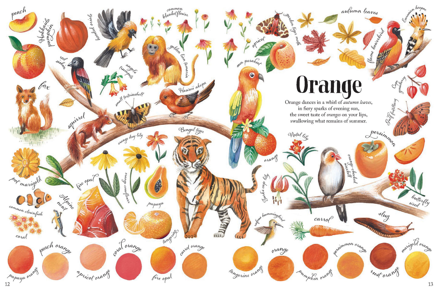 Colors in Nature | Hardcover