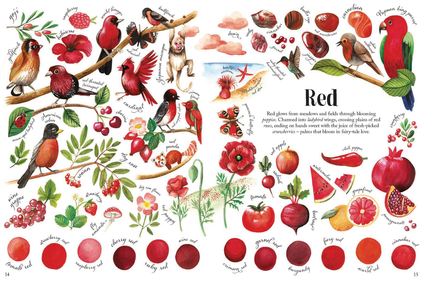 Colors in Nature | Hardcover
