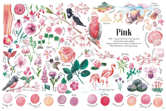 Colors in Nature | Hardcover