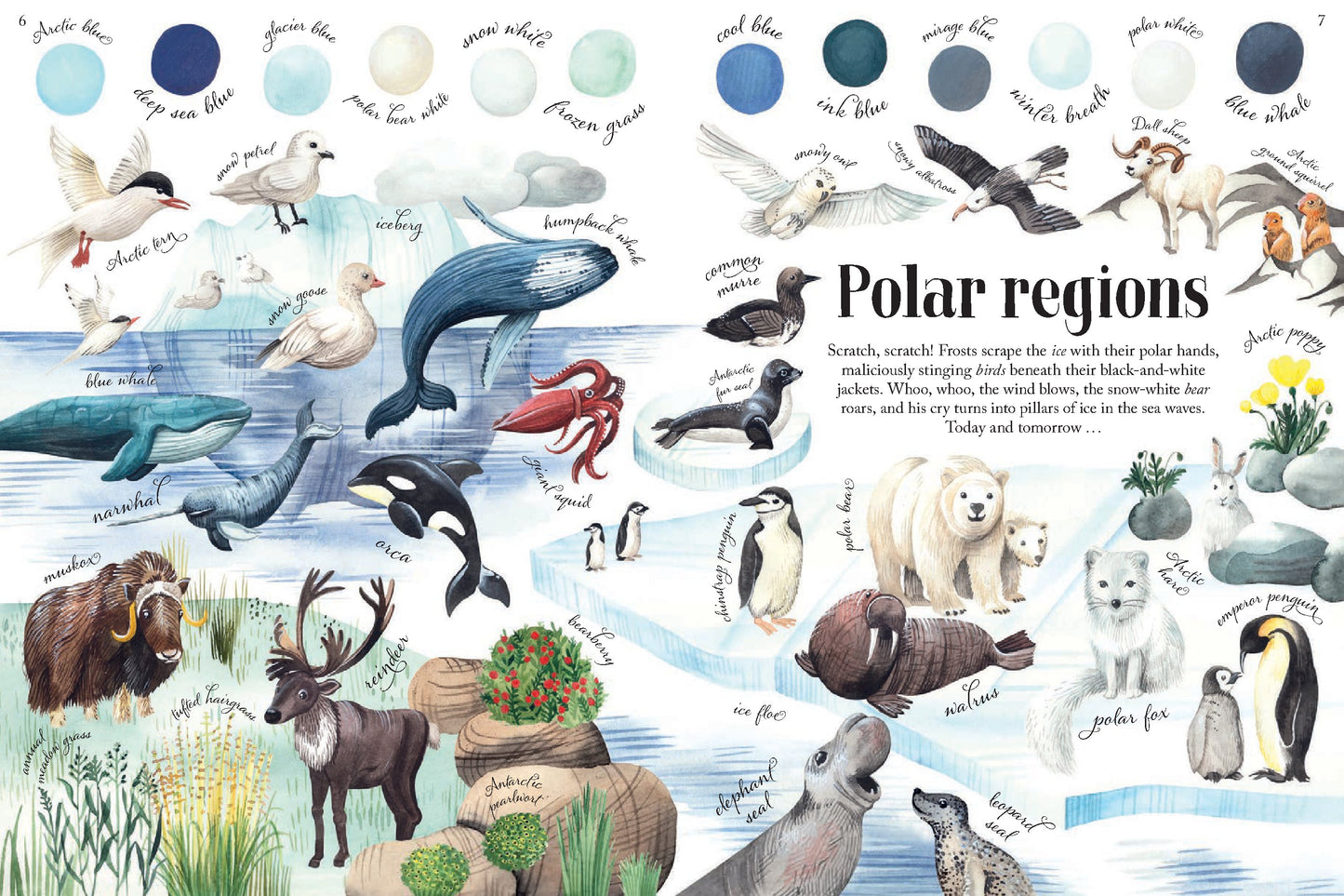 Colors of Habitats | Hardcover