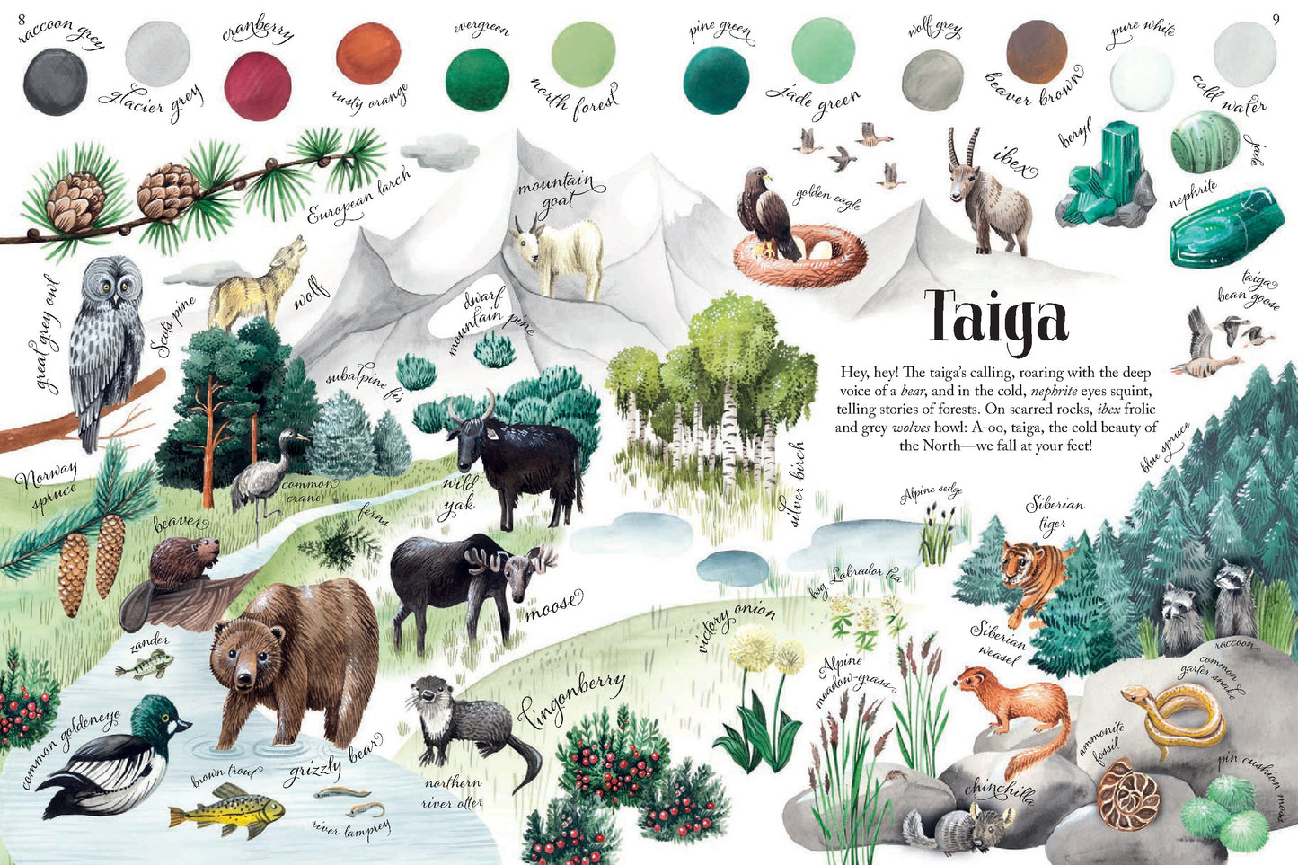 Colors of Habitats | Hardcover